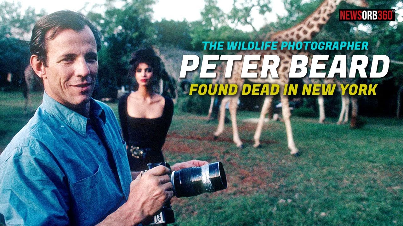 PETER BEARD, THE WILDLIFE PHOTOGRAPHER, FOUND DEAD IN NEW YORK #photographer