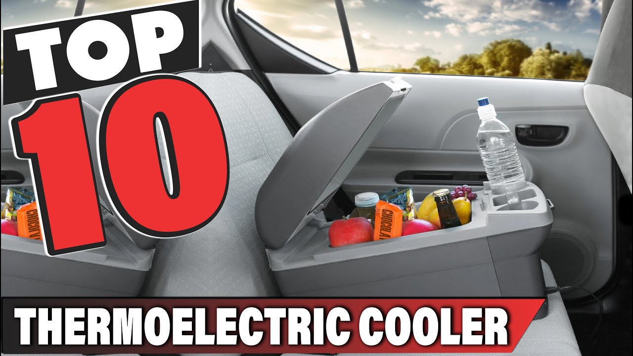 Best Thermoelectric Cooler In 2025- Top 10 Thermoelectric Coolers Review