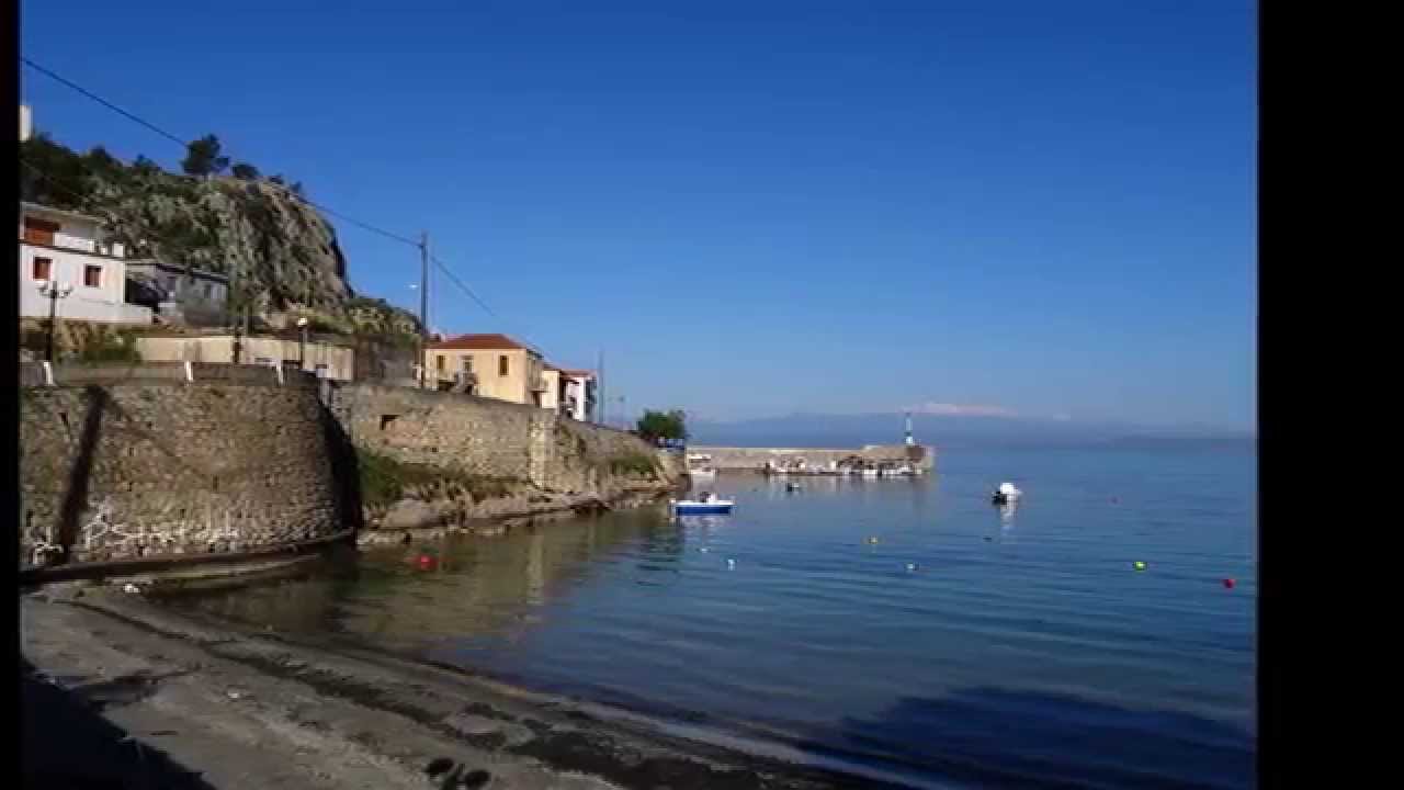 Ελιά Λακωνίας