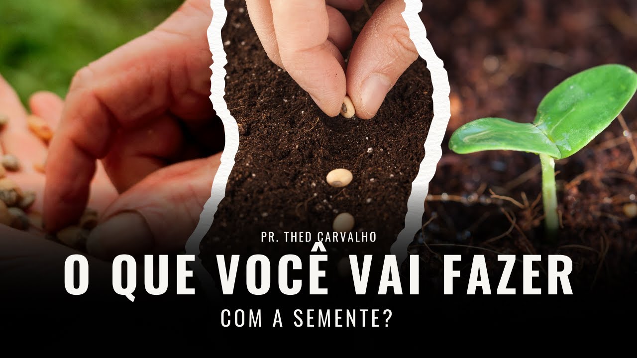 O QUE VOCÊ VAI FAZER COM A SEMENTE | PR. THED CARVALHO | VIDEIRA PHILADELPHIA