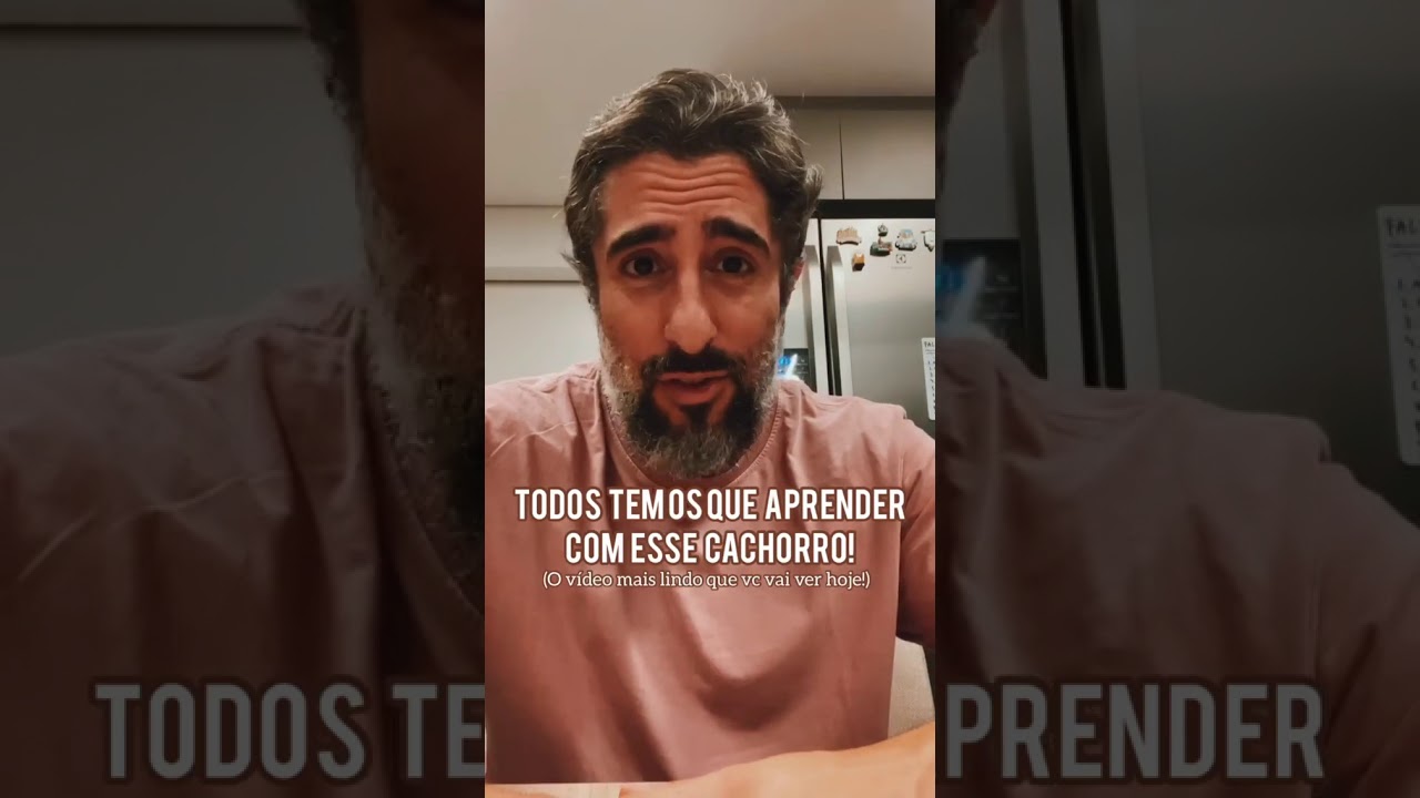 Marcos Mion fala dos autistas com cachorros