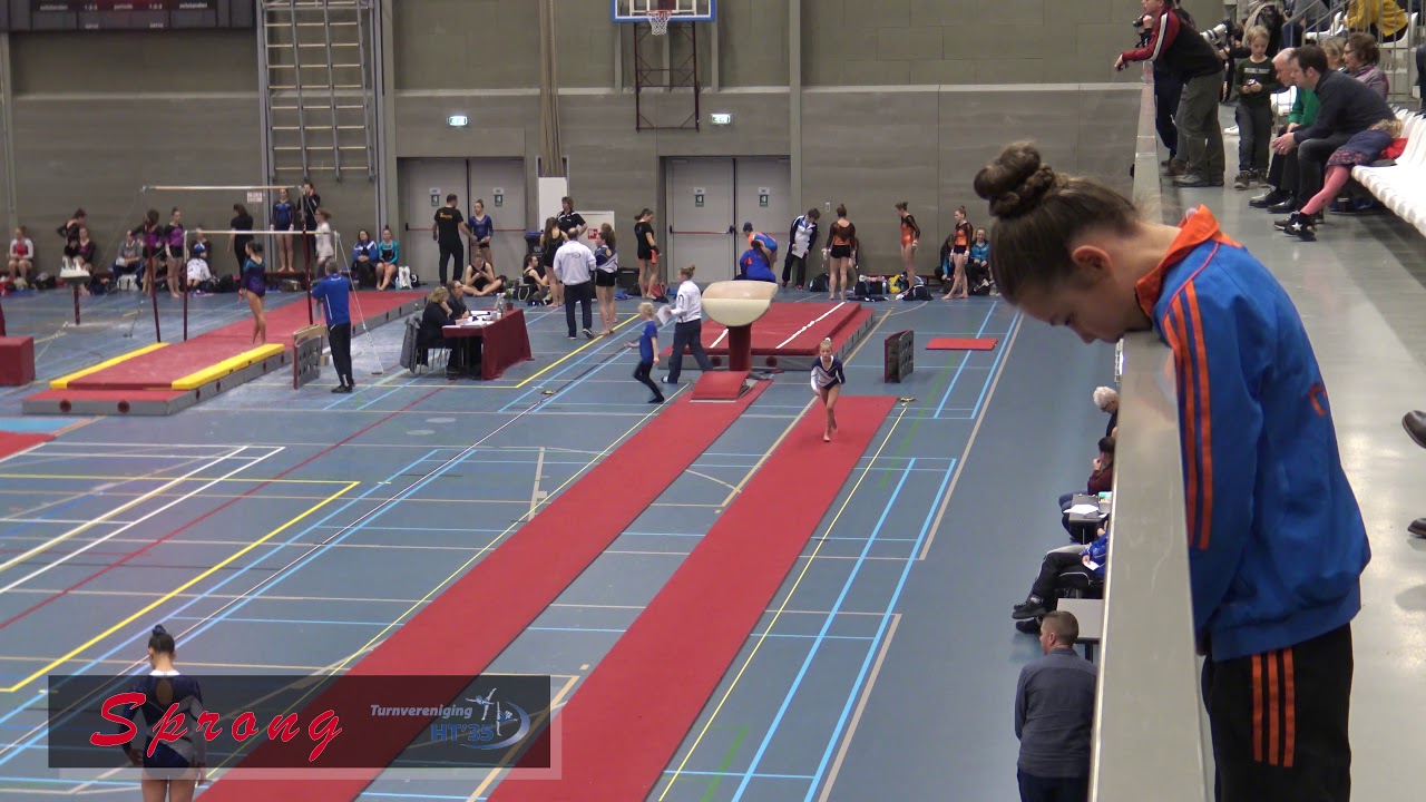 Renske HT35 Pupil2 N2 Regio kampioenschap Tilburg 28 januari 2018