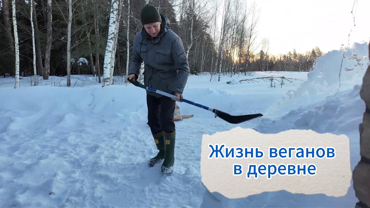ЖИЗНЬ ВЕГАНОВ В ДЕРЕВНЕ