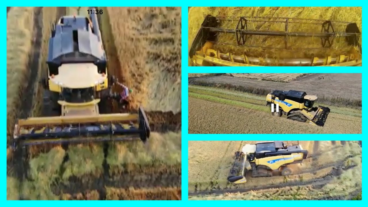 new holland cx8070 ile çeltik hasadı