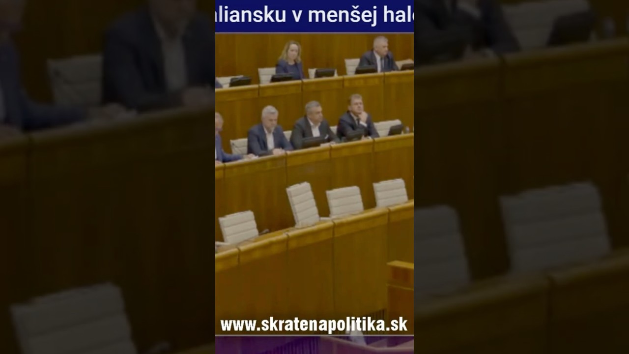 Mesterov&aacute; sa odmietla ospravedlniť, že označila koal&iacute;ciu za kyselin&aacute;rov.