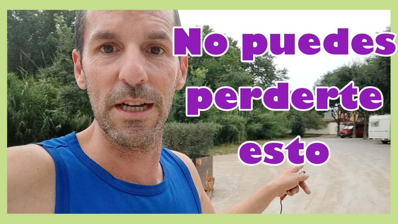 El MEJOR TALLER de Autocaravanas en Catalunya || N&oacute;mada en Autocarava cl&aacute;sica