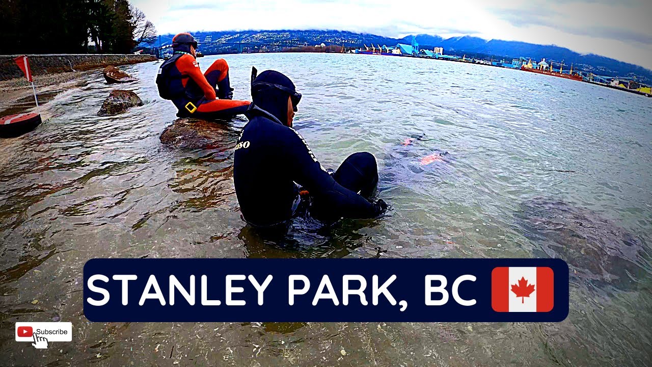 Freediving Stanley Park | Vancouver BC, Canada