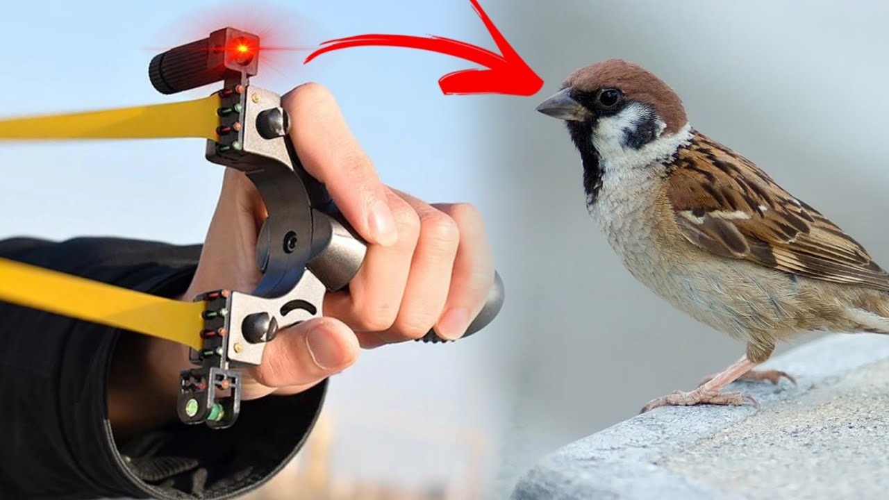 How Laser Works in Slingshot Shooting ❓