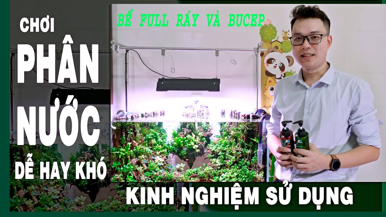 Phân Nước và kinh nghiệm sử dụng thực tế cho bể full ráy, bucep #kenhthuysinh p55