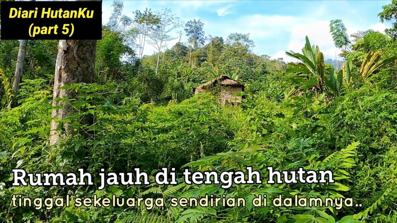 Diari HutanKu (part terakhir): Ke alam rimba & pelajaran berharga.