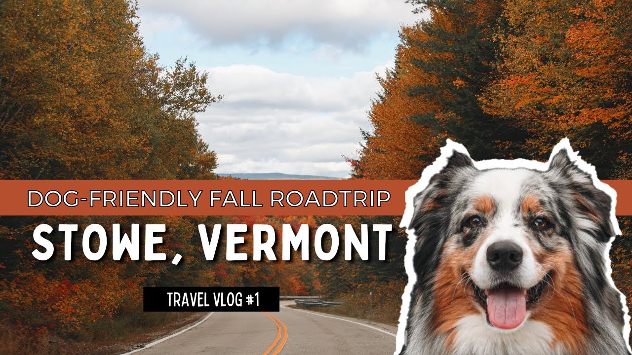 DOG FRIENDLY Fall Week-end in Stowe Vermont - Travel Vlog