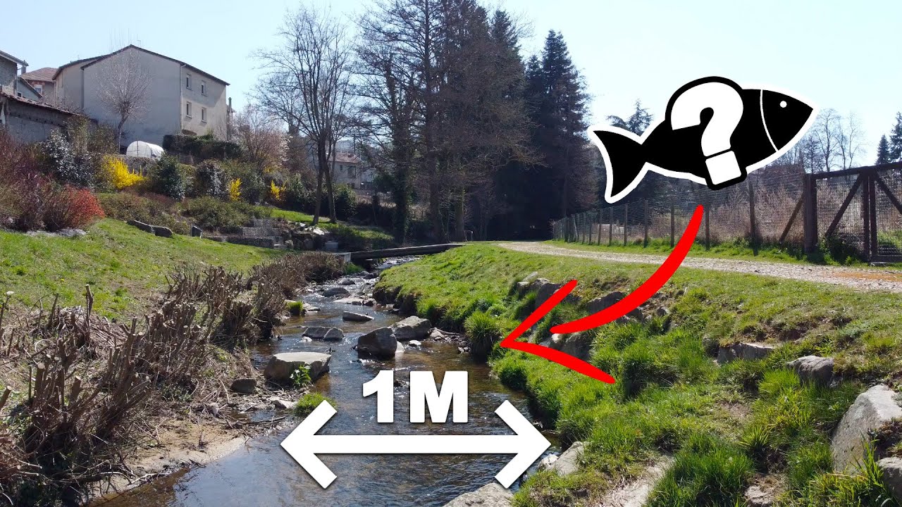 Du poisson dans ce RUISSEAU d'un mètre de LARGE ?