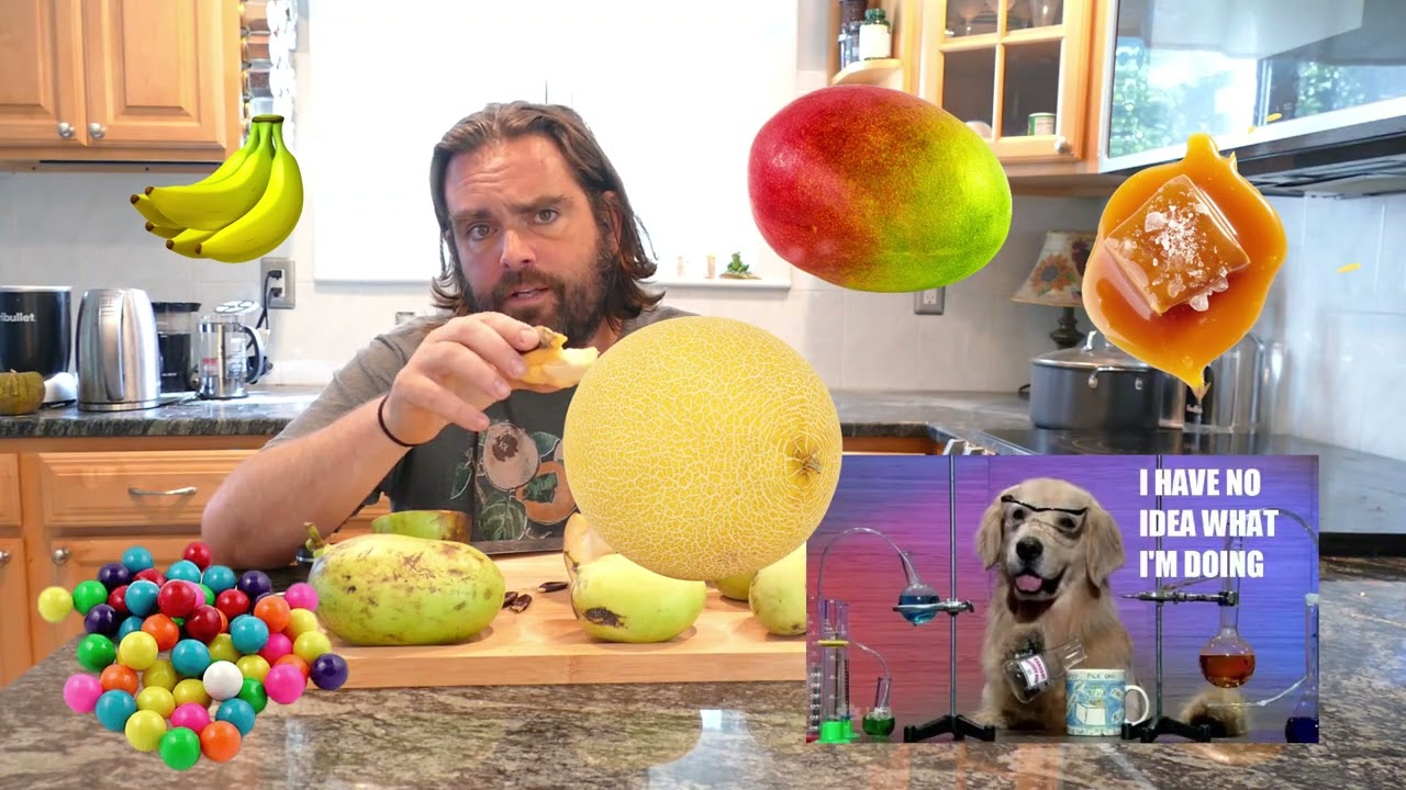 Pawpaws - Susquehanna - Meet the Cultivar Series - 01 - (Asimina triloba)