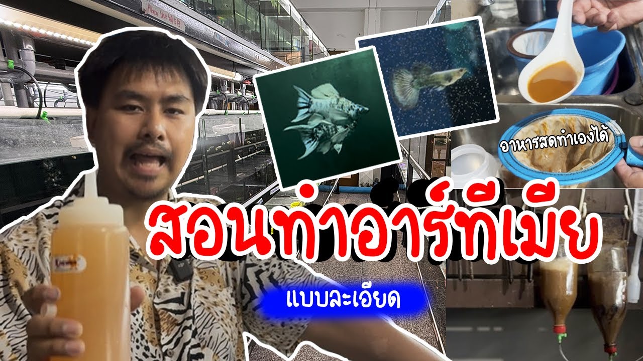 รู้อะไรไม่เท่ารู้งี้ EP65.สอนทำอาหารอนุบาลลูกปลาด้วยอาร์ทีเมีย