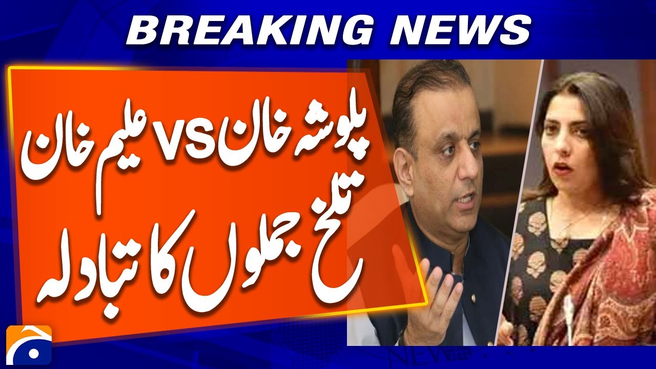 Aleem Khan, Palwasha Khan Clash in Senate Committee | Heated Exchange | Breaking News
