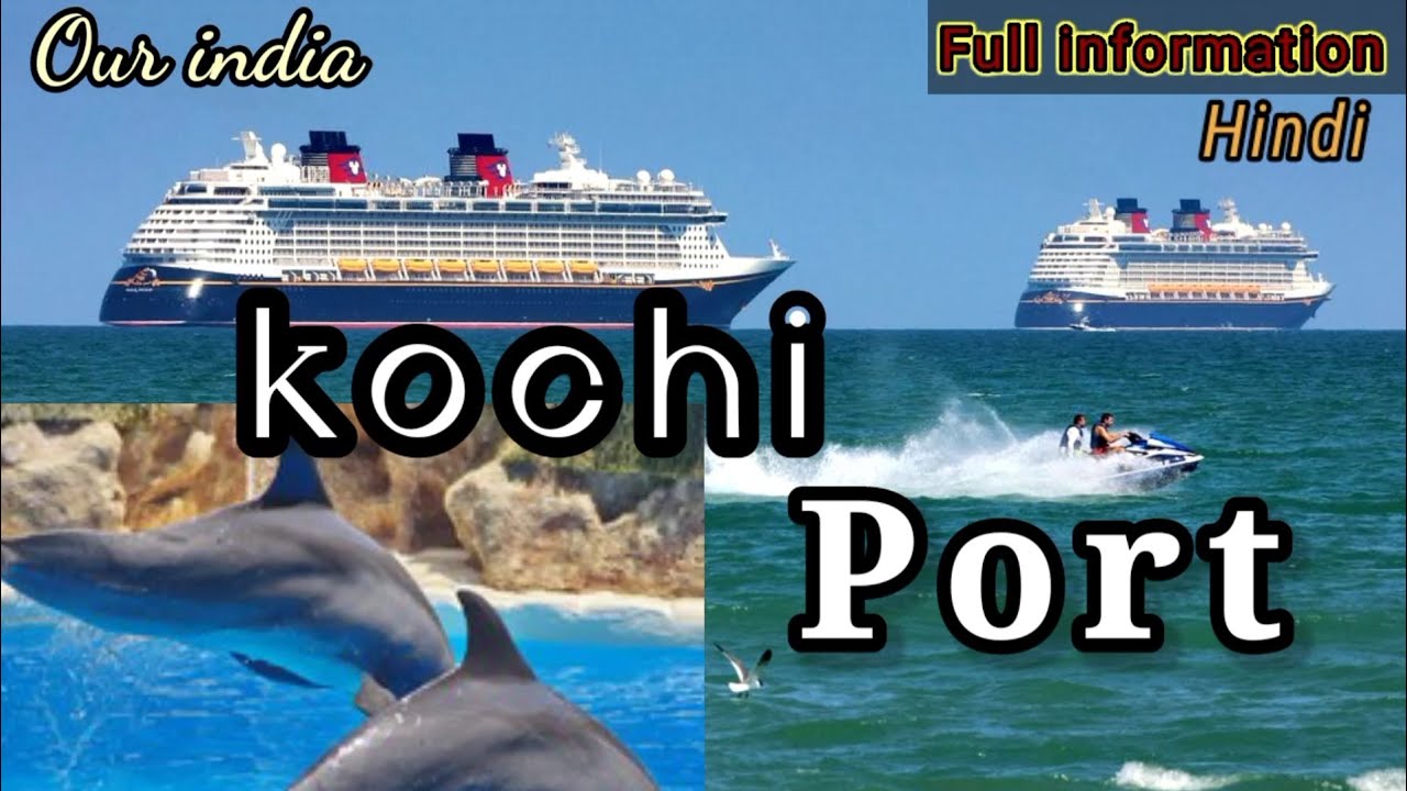 Cochin Port! Big ship in cochin port! dolphin 🐬 port! willington Island Cochin Port! biggest port !