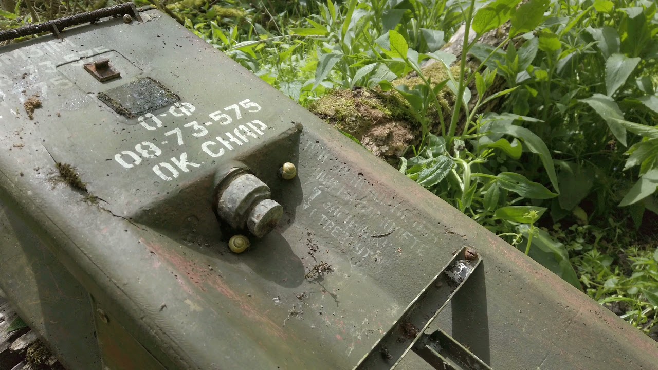 1001 Hülse. Deutsche Wälder, der Krieg und seine Hinterlassenschaften