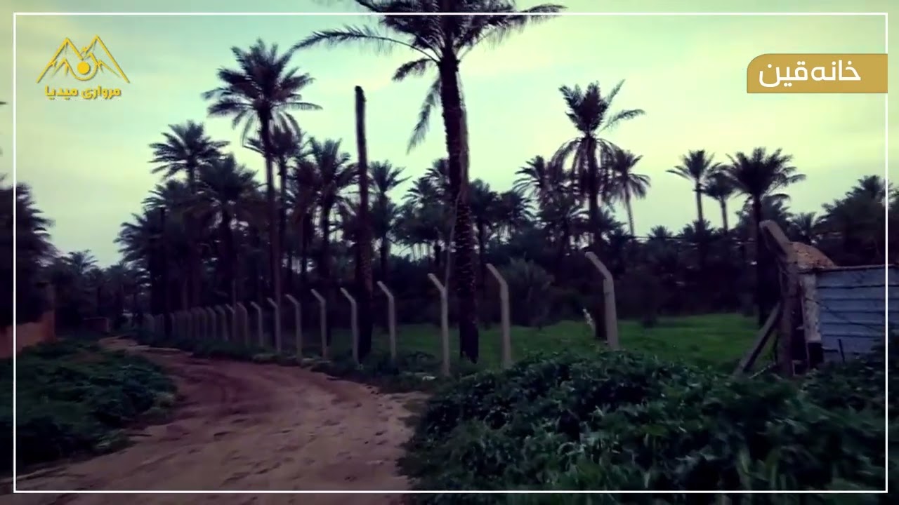 ٢ شباط، ٢٠٢٦