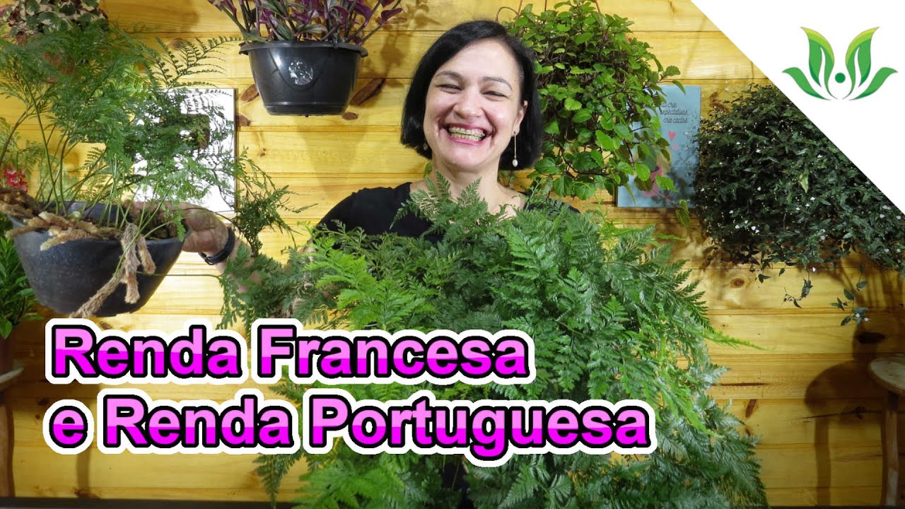 Renda Francesa e Renda Portuguesa