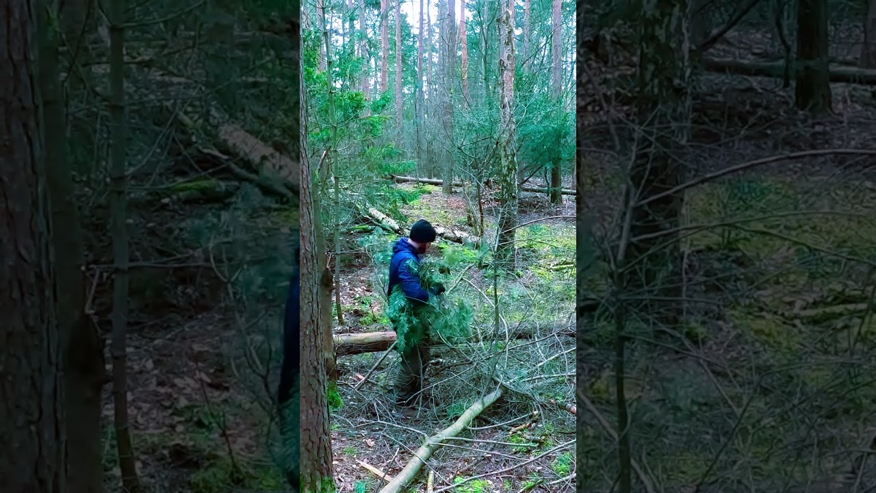 Building Bushcraft Shelter Alone in the Forest - Survival Bushcraft.