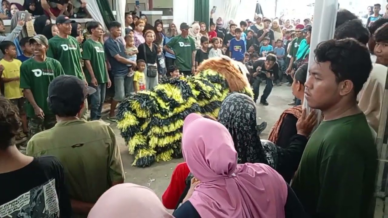 Atraksi Can Macanan || The Tigers Burok MJM || Live Desa Sidaresmi Pabedilan Cirebon #mjmofficial