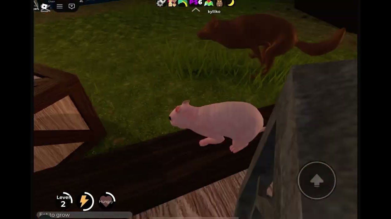 Animal video no voice two parts