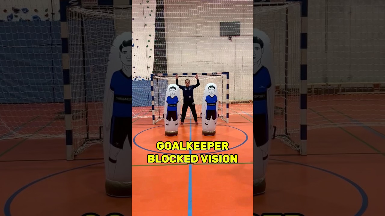 HANDBALL GOALKEEPER VISION (BLOCK TO DEVELOP)