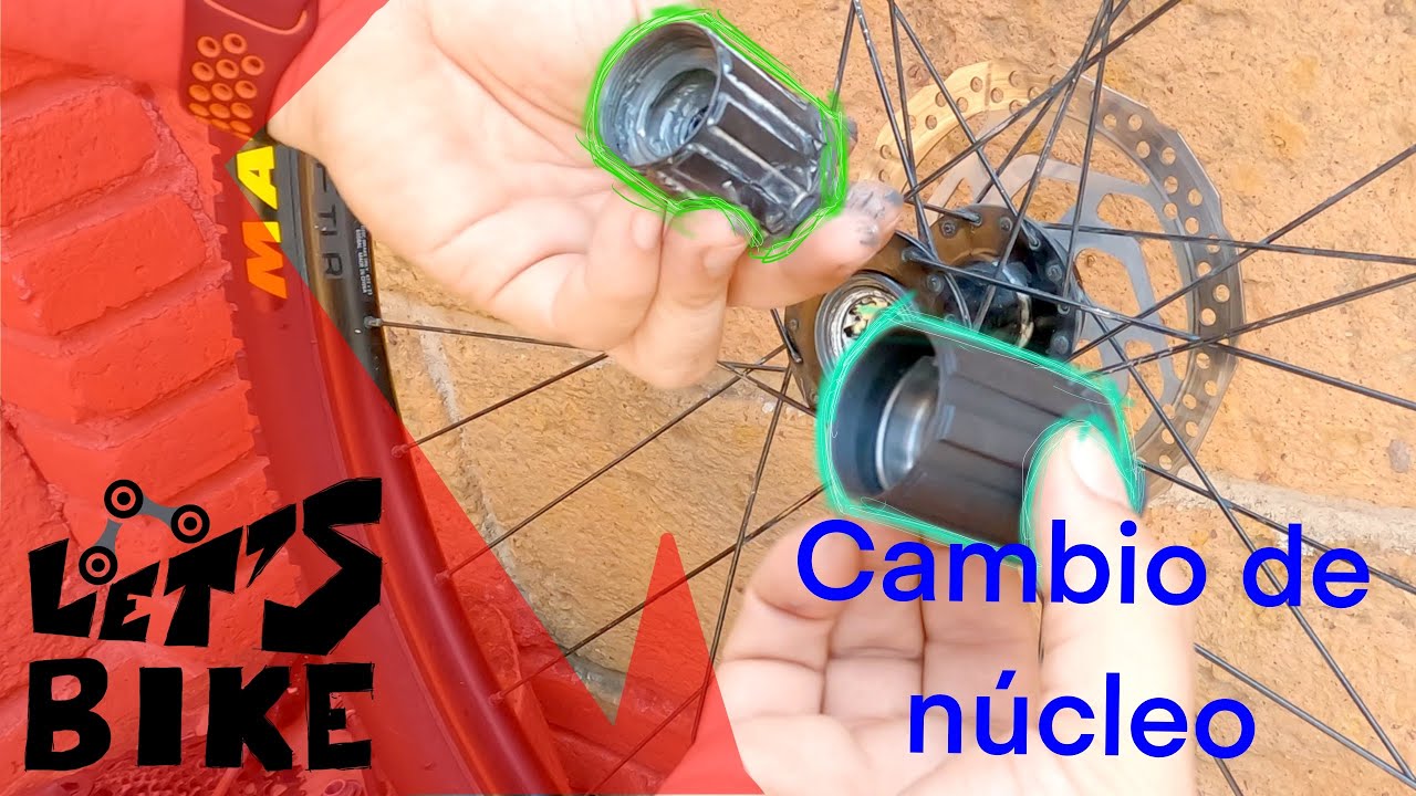 Cambio de Núcleo de buje trasero