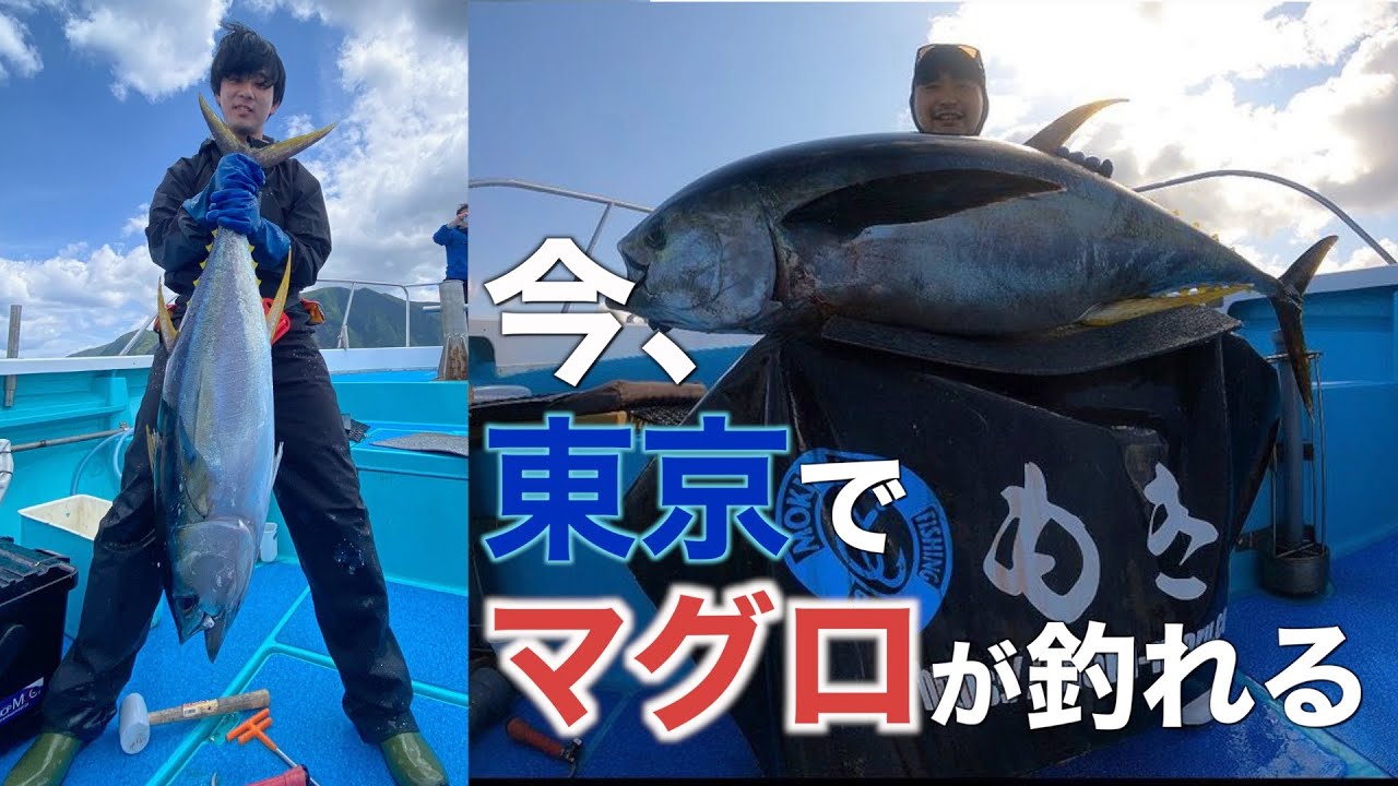 東京でマグロ釣ってきた!!