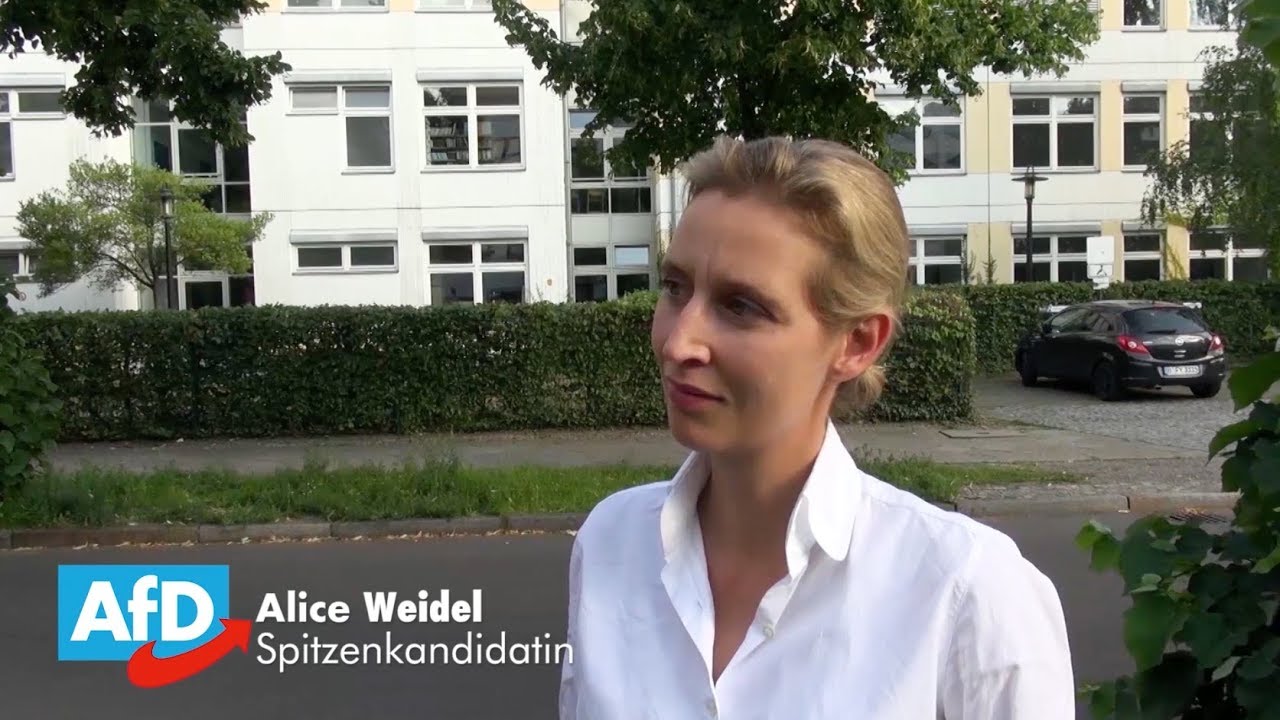 Alice Weidel im Interview mit einem Lehrer
