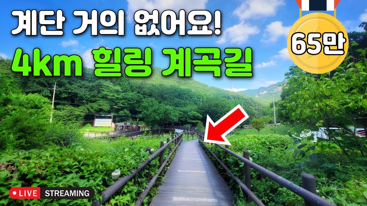 [라이브소통] 🚅 기차비 2,600원! 계단 거의 없어 걷기 편한 4km 계곡길 코스 진짜 시원해요 👍 l 대중교통 당일치기 여행