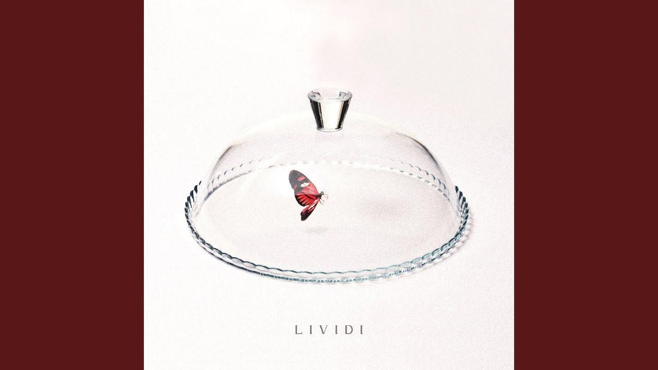 Lividi