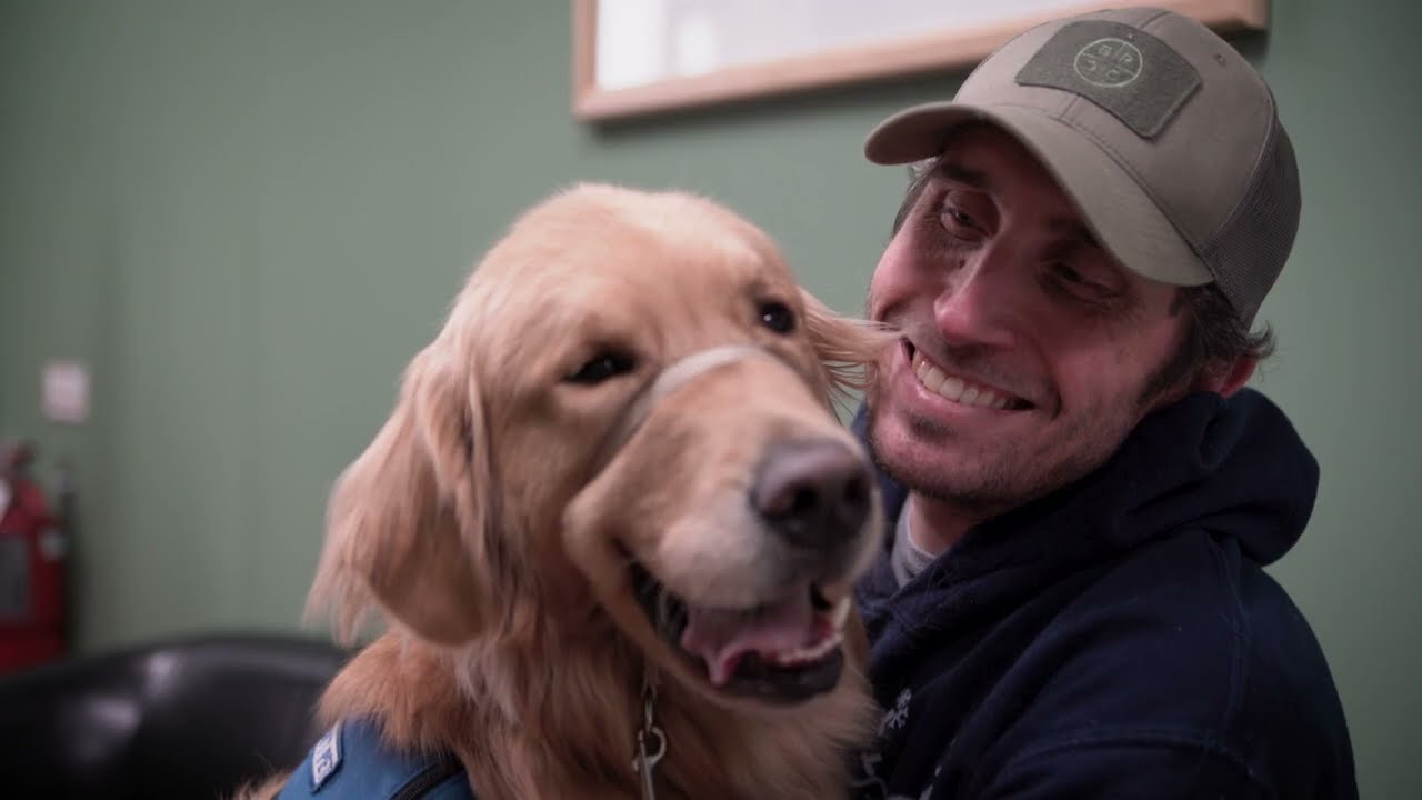Helping Paws Assistance Dogs
