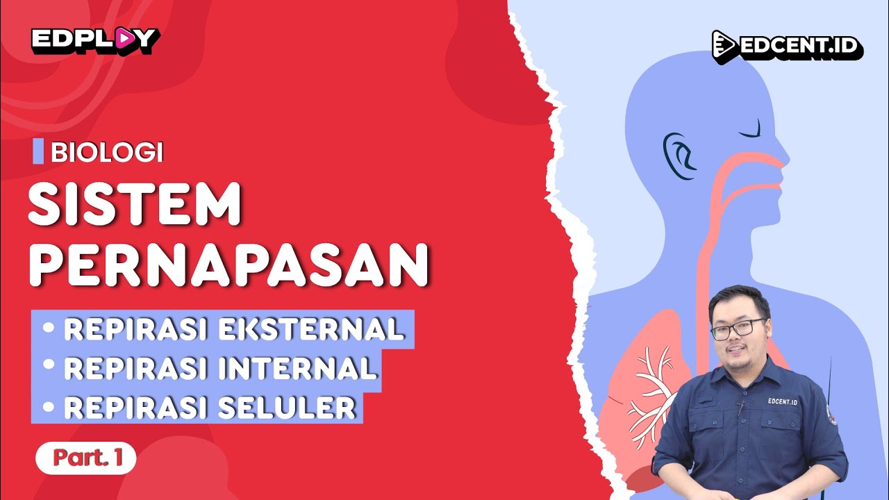 Materi Biologi: Sistem Pernapasan | Respirasi Eksternal, Internal, & Seluler | Part 1