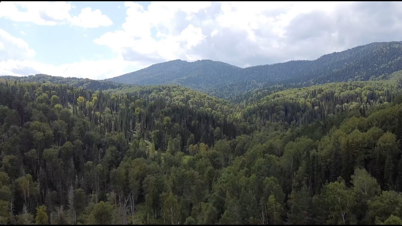 Белокуриха. Гора Синюха.