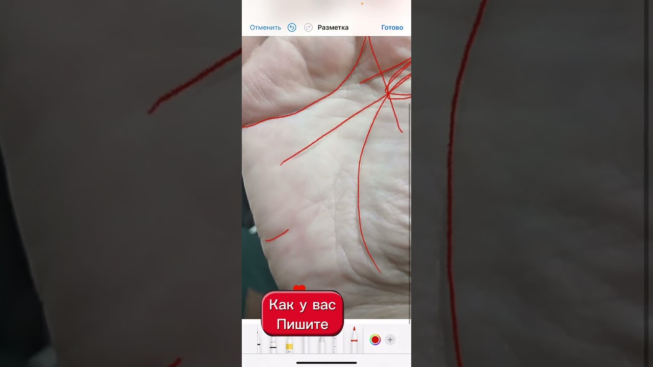Анализ линий