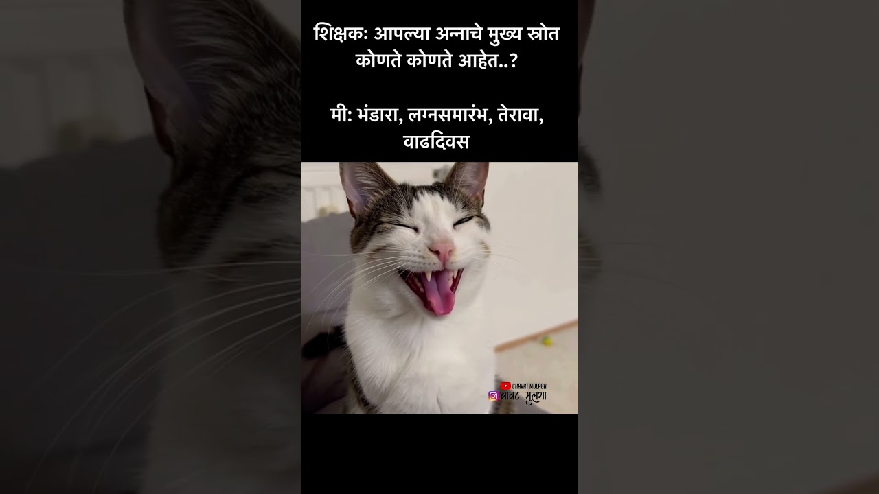 Dogesh Bhau 
