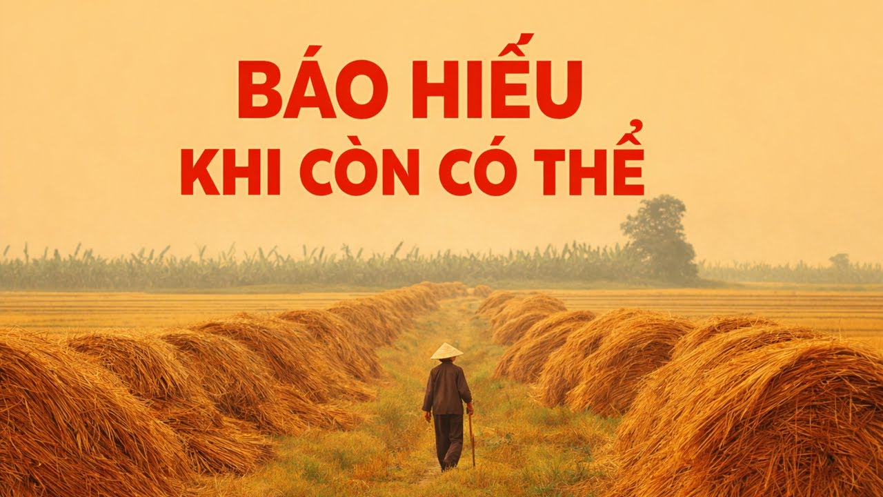 BÁO HIẾU KHI CÒN CÓ THỂ