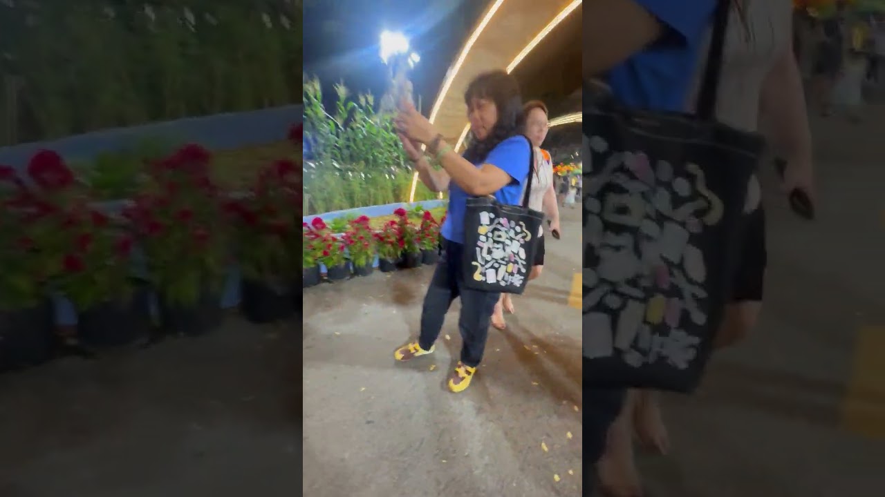 Một ngày màu Xuân