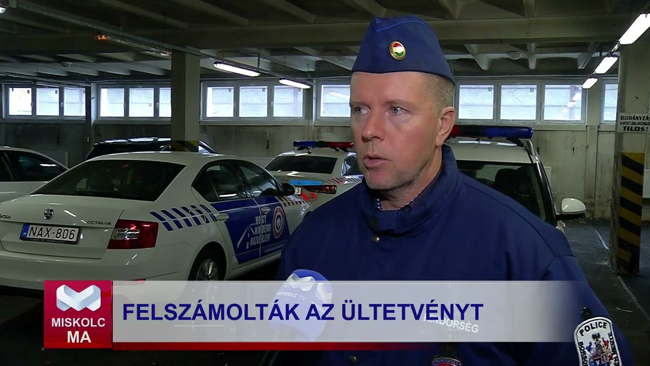 Marihuana ültetvényt számolt fel a rendőrség