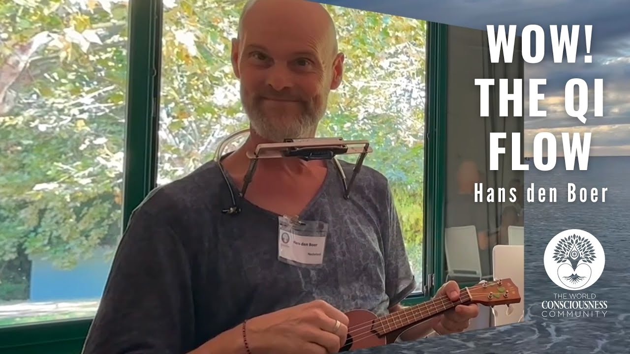 WOW! The Q&igrave; Flow - Hans den Boer
