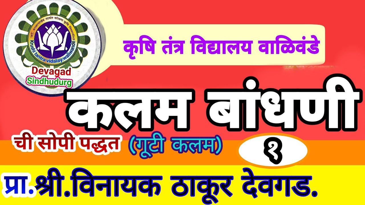 कलम करण्याची सोपी पद्धत (गूटी कलम)/Grafting(AirLayering)/Gooty Kalam