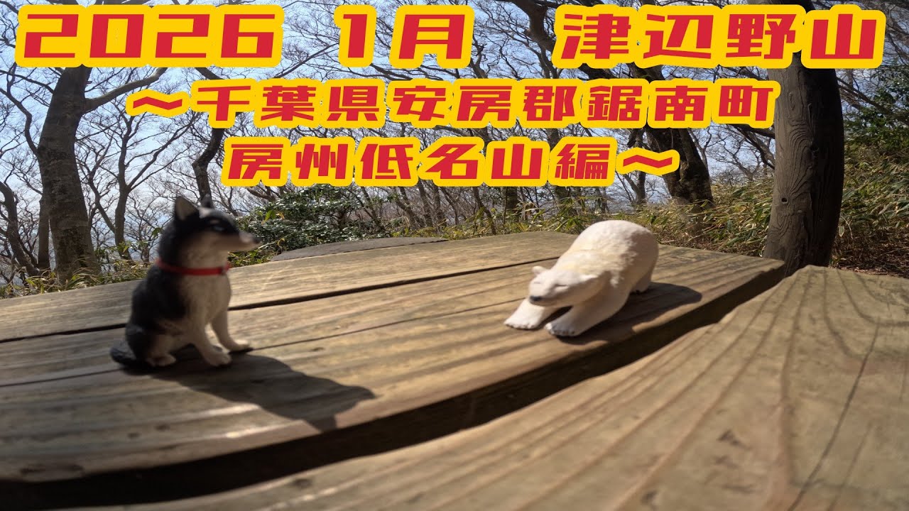 津辺野山～房州低名山　千葉県安房郡鋸南町　つべのっちを探して～