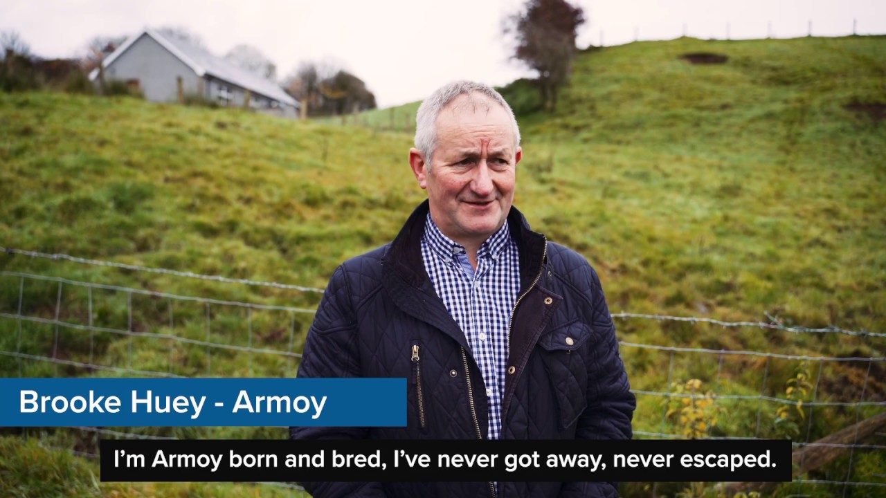 Down On The Farm | Rare Breed - Armoy Belted Galloways