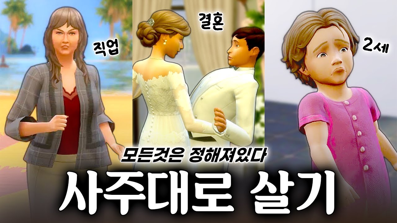 사주대로 살면 어떻게 될까?