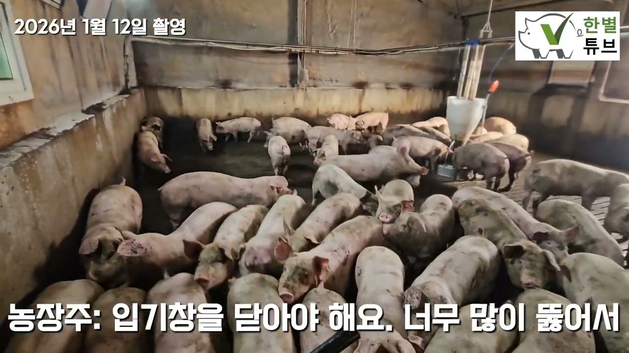 너무 많이 뚫려있는 입기구 (Air inlets are installed in excessive numbers) #입기구 #입기구갯수 #정확한입기구갯수 #입기구과잉설치