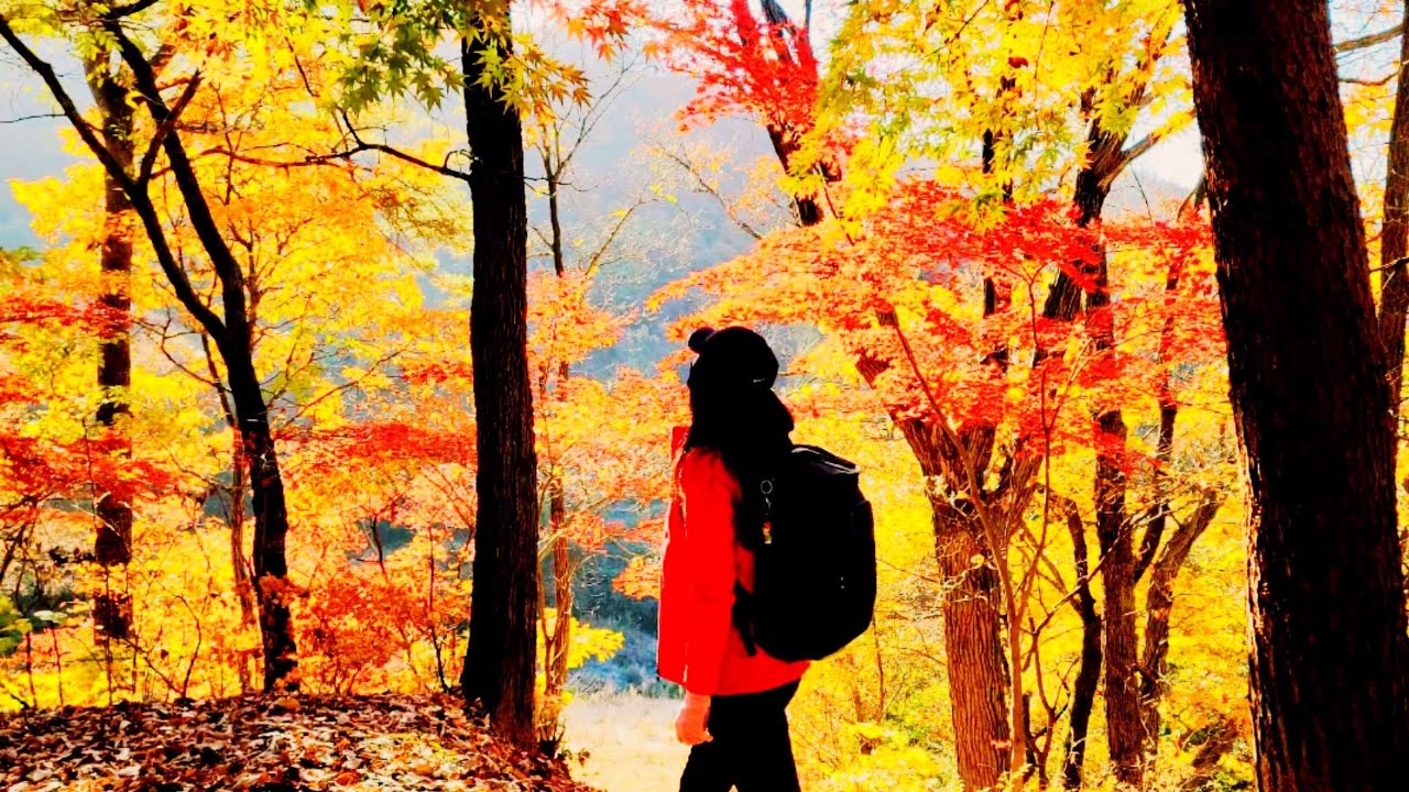 가을 단풍 여행 당일 코스? 안성 서운산 자연 명소에서 하루 즐겨보세요 / 등산유튜버 천설화