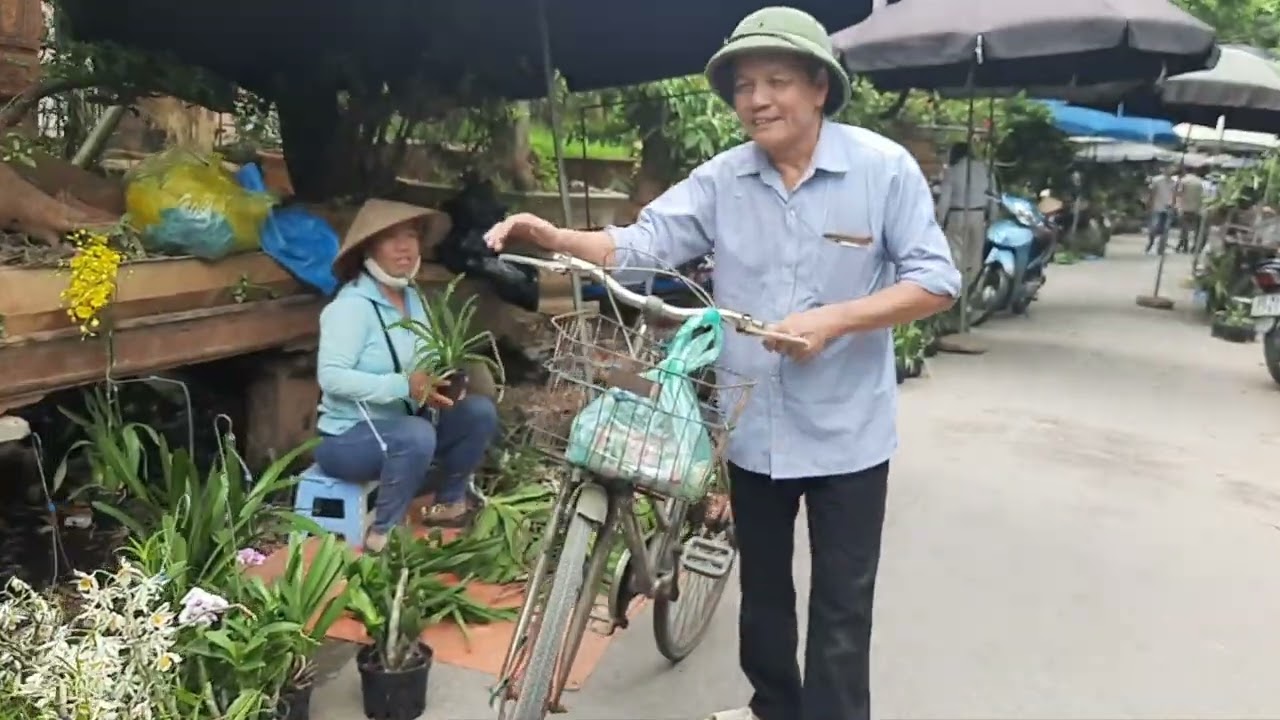 T240 Chợ lan Vạn Phúc Hà Đông Hà Nội , phiên ngày 7/6/2023