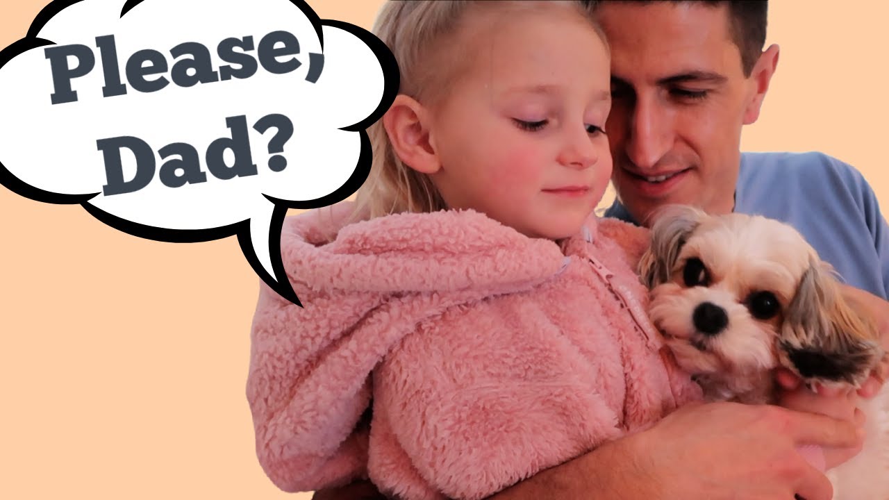 Lucy REALLY wants a DOG!