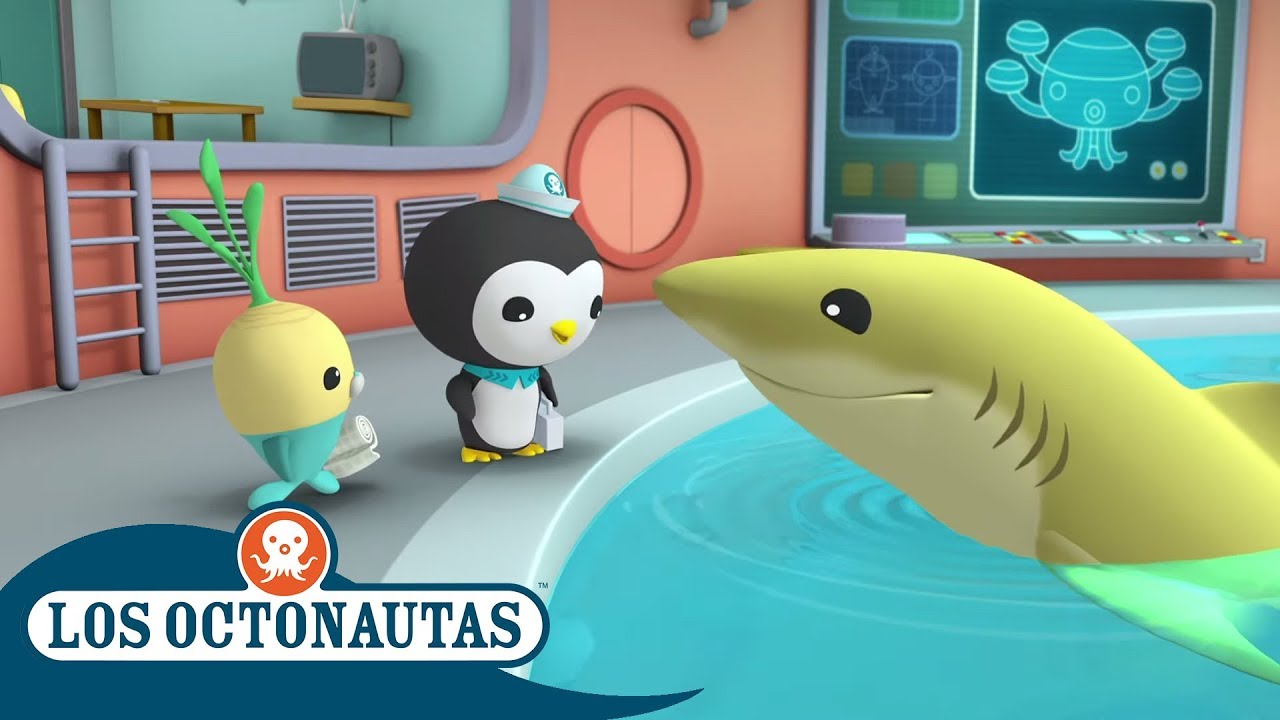 Los Octonautas Oficial en Español - Semana del Tiburón | Protege a los Tiburones | Compilación